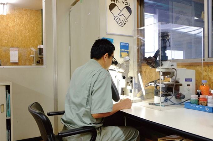 大阪本社の研究室で実験、分析をしている様子