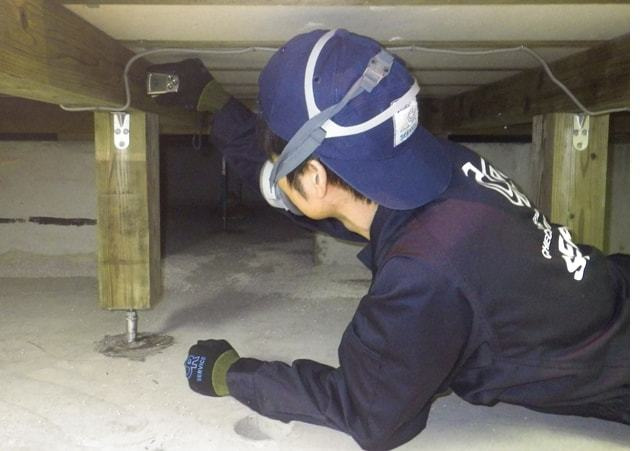 床下を点検している様子