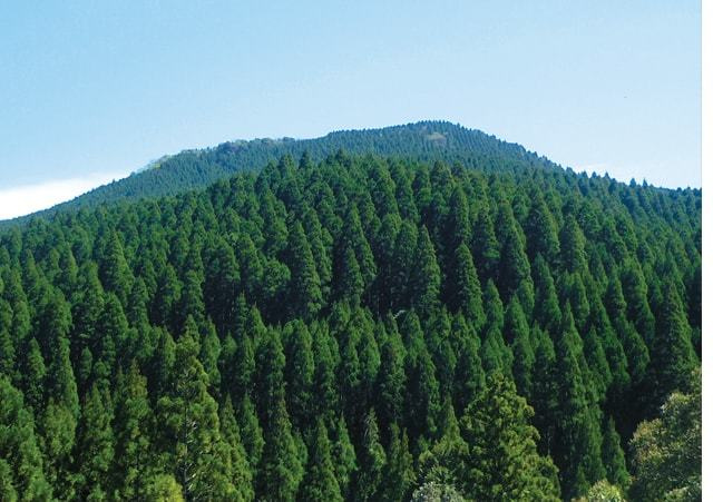 きれいな山