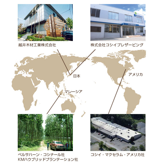 コシイグループ提携図(日本、マレーシア、アメリカ)
