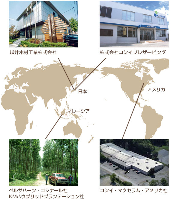 コシイグループ提携図(日本、マレーシア、アメリカ)