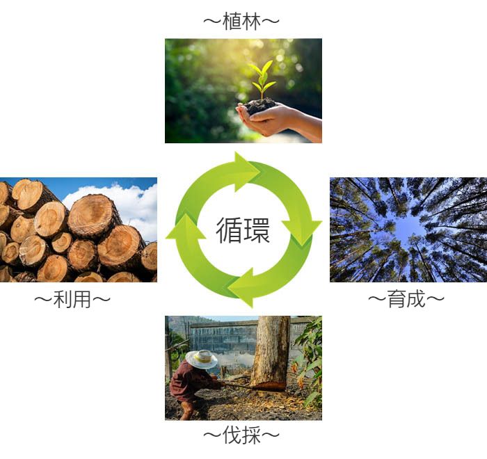 木材の循環イメージ図