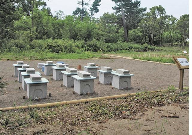 宮崎工場に隣接した試験施設