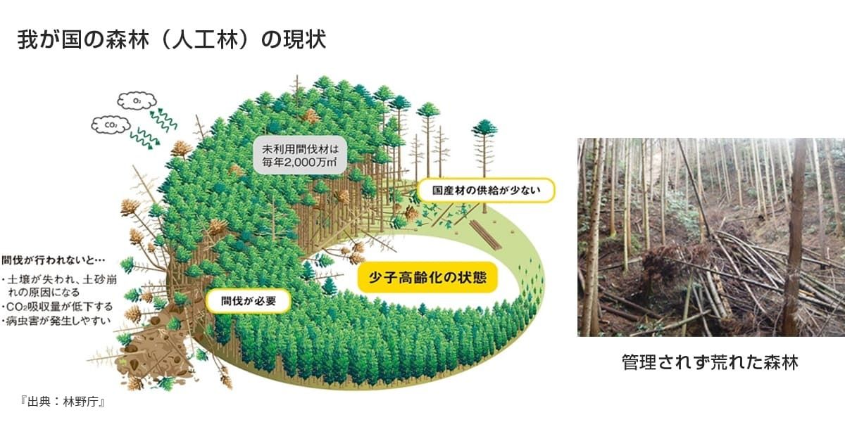 我が国の森林(人口林)の現状